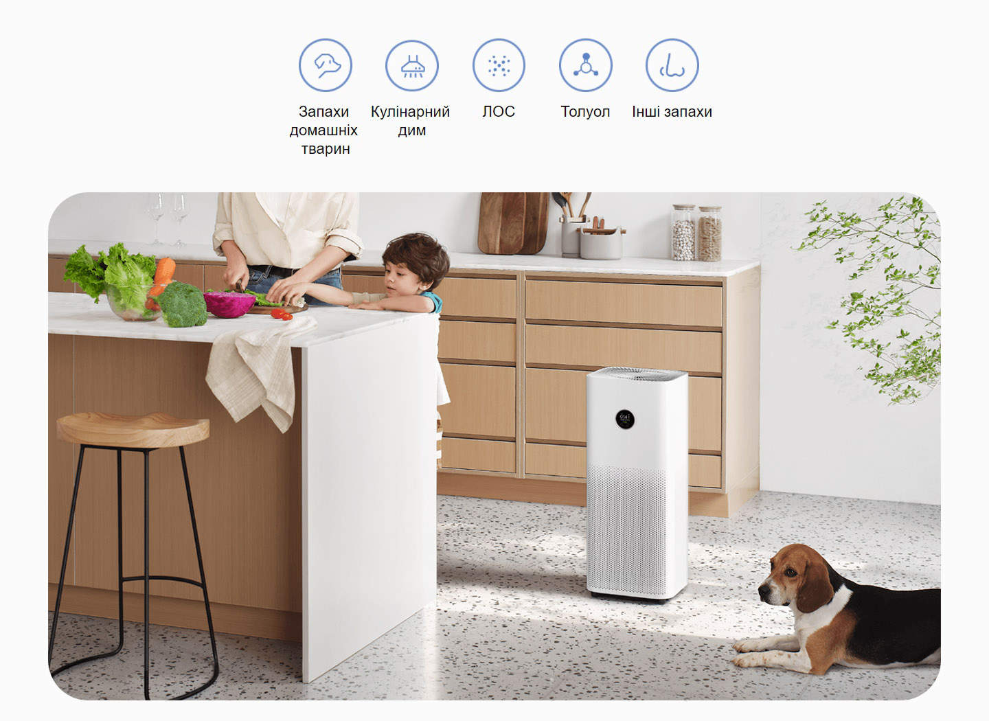 Фото 7 Xiaomi Smart Air Purifier 4 Pro