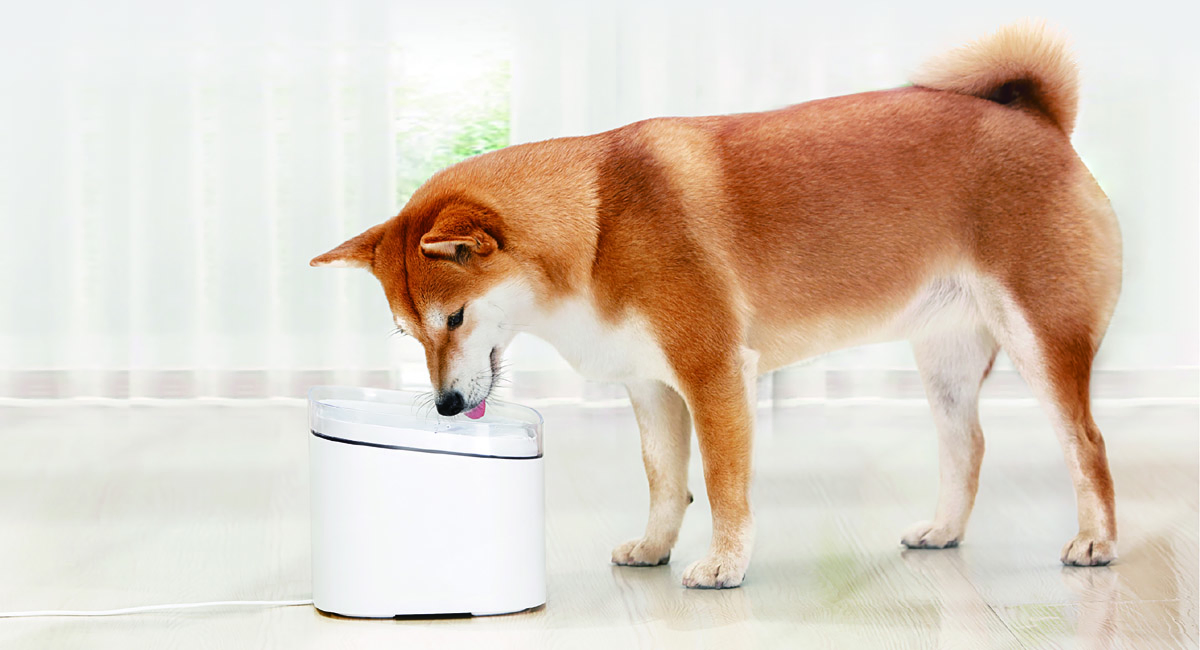 Фото 2 Xiaomi Smart Pet Fountain