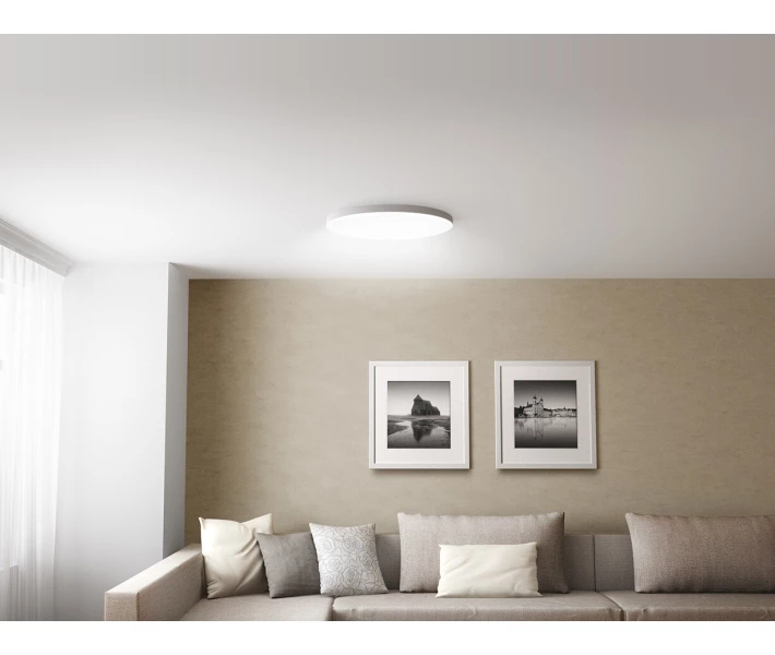 Фото - светильник потолочный Потолочный светильник Xiaomi Mi LED Ceiling Light