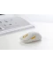 Фото № 2 Xiaomi Wireless Mouse 3 (BHR8912GL) White