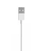 Фото № 3 Xiaomi Mi 2in1 USB Cable micro/type-c 30см (SJV4083TY) White