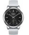 Фото № 1 Безель Xiaomi Watch Bezel Silver (BHR8315GL)