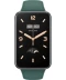 Фото № 2 Ремешок Xiaomi Smart Band 7 Pro Strap Green (зеленый)