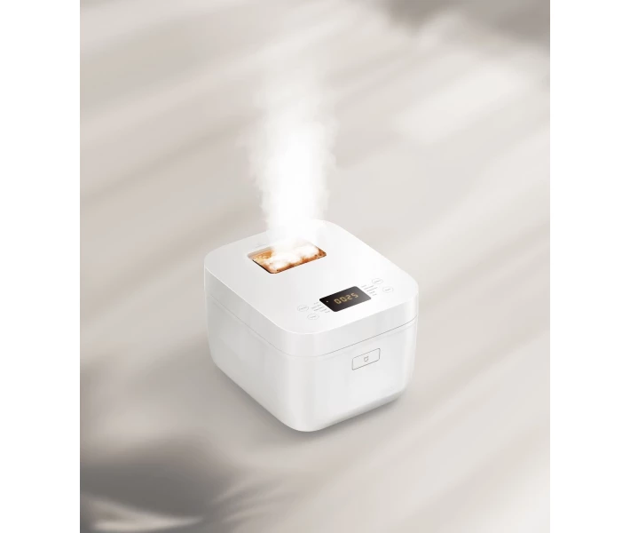 Фото - мультиварку Рисоварка Xiaomi Multifunctional Rice Cooker 4L