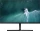 Придбати - монітор  Монітор 23.8" Xiaomi Mi Monitor 1C (BHR4510GL) Black