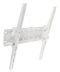 Фото № 2 Кріплення для ТВ iTech PLB14 WHITE