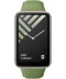 Фото № 2 Ремінець Xiaomi Smart Band 7 Pro Strap Pine Green зелений